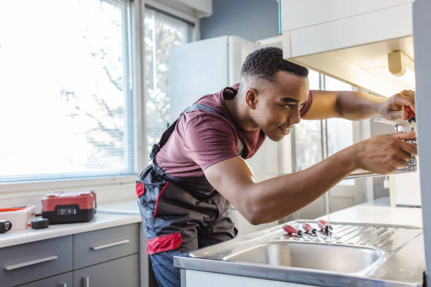 Best Plumbing Inspection Services  in Sandstone, MN